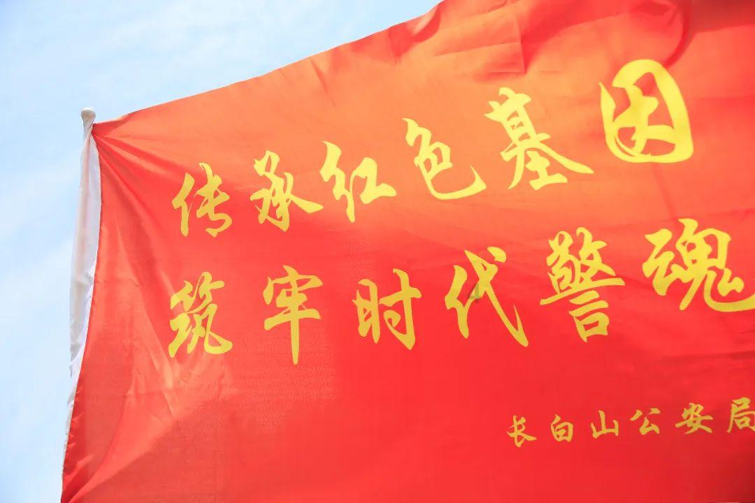 小猫钓鱼游戏龙王版有船